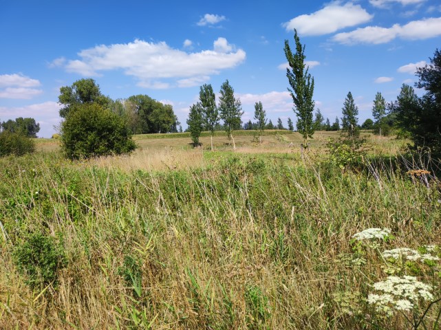 IMG 20250818 151101 Small