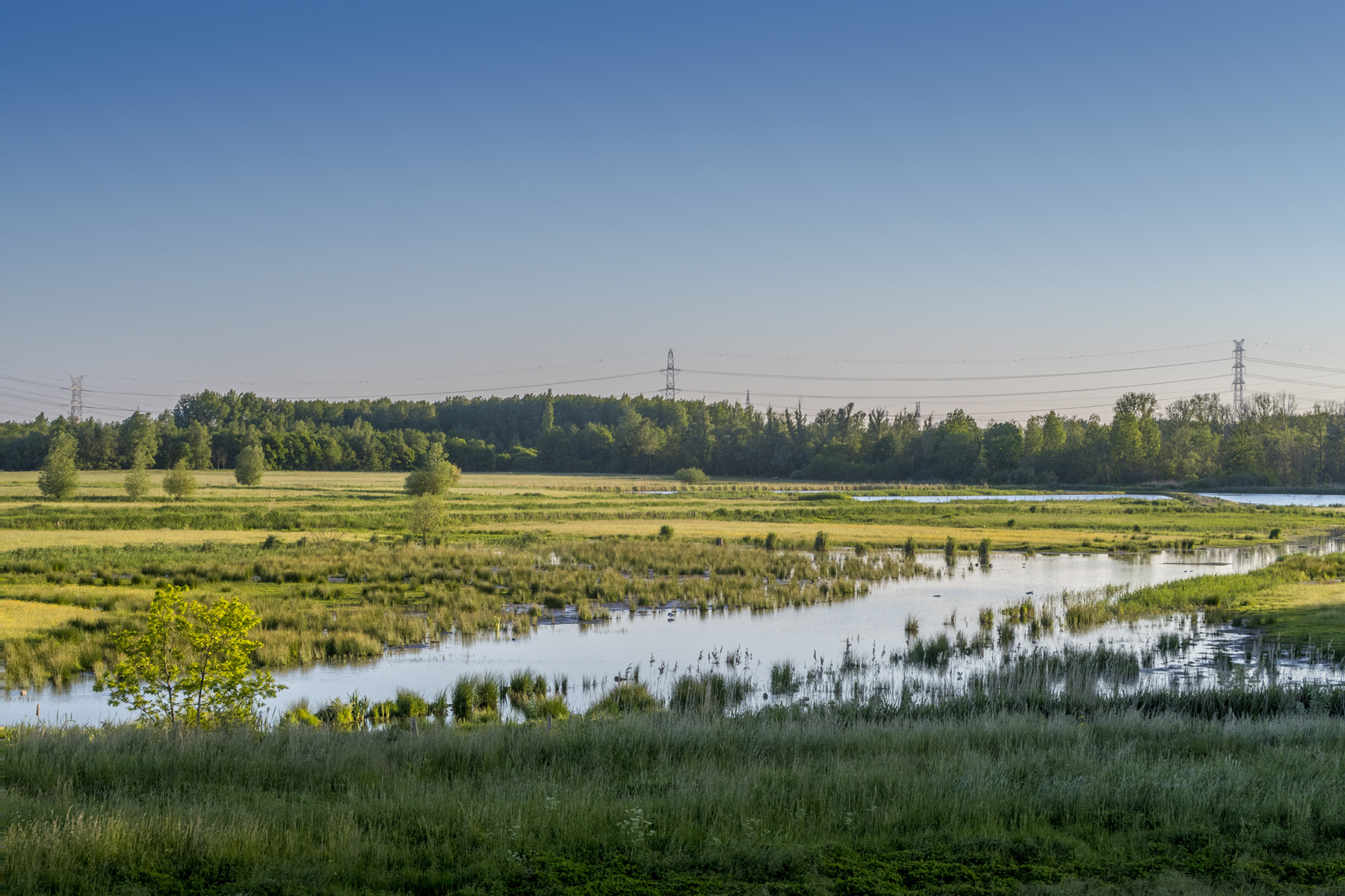 Otterzone Dirk De Roose